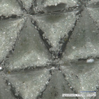 Sliprondell Denibbing Disc, 34 mm, 100 st, P2000